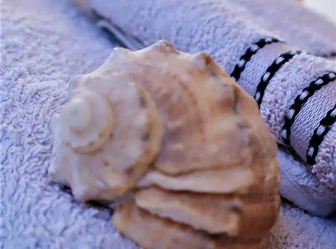 Kuschelige Dachgeschosswohnung Am Clarapark Lejlighed